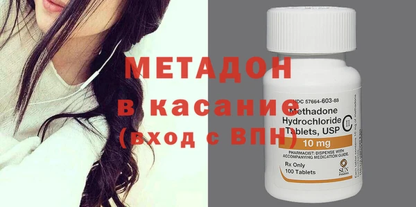 гидра Елизово