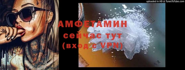 гидра Елизово
