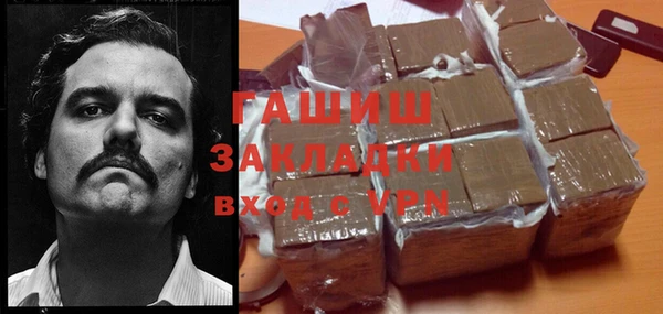 гидра Елизово
