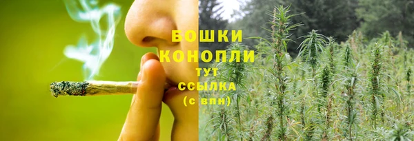 гидра Елизово