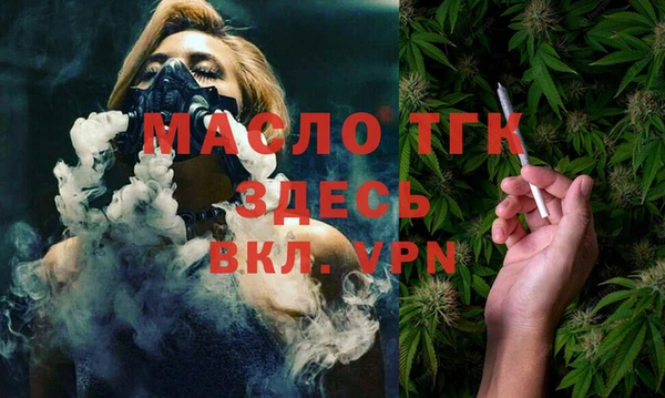 МДПВ Каменногорск
