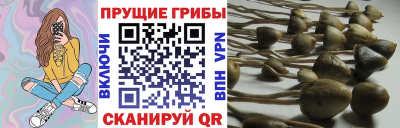 Галлюциногенные грибы GOLDEN TEACHER  Инза 